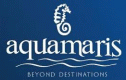 Aquamaries